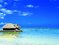 Французская Полинезия Фото Страны, Достопримечательности, Природа, Курорты, Архитектура