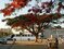 Замбия Фото Страны, Достопримечательности, Природа, Курорты, Архитектура