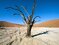 Намибия Фото Страны, Достопримечательности, Природа, Курорты, Архитектура