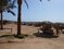 Caribbean World Soma Bay 5*, Египет, Сома-Бей. Фото отеля, Номера, Территории, Пляжа, Моря